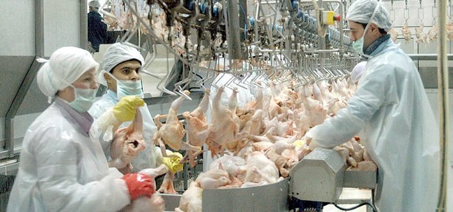 Japonya'ya da kanatlı eti ürünleri ihracatı yapılabilecek