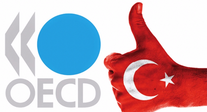 OECD ikincisi Türkiye