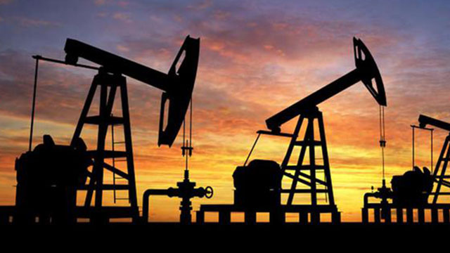 "Petrol ve doğal gaz fiyatları makul seviyede seyredecek"
