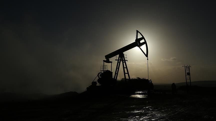 IEA Başkanı Birol: 2020, küresel petrol tarihinin en kötü yılı