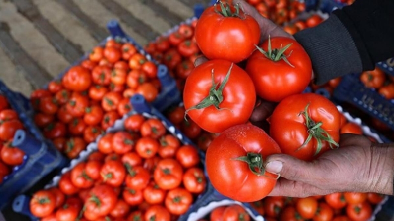 Rusya, Türkiye'den domates ile biber ithalatı yasağını kaldırdı