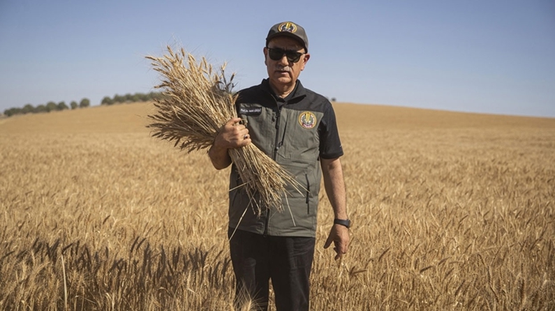 "Buğday üretimimiz yurt içi talebi karşılamada küresel krizlerden etkilenmeyecek noktada"