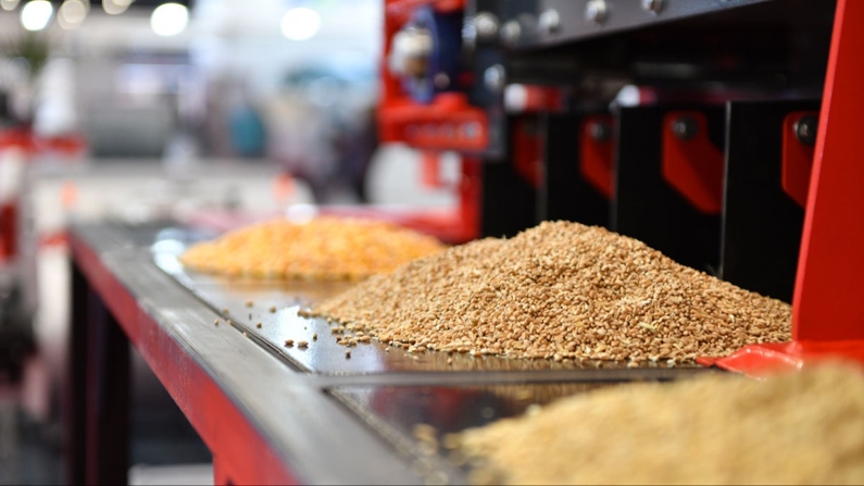 Dünya tahıl sektörünün gözü Türk-Rus Ortak Tahıl Zirvesi İDMA Rusya'da olacak