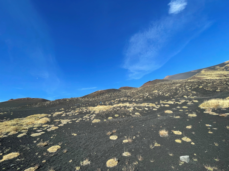 <p>Sonbaharda yeşil, sarı ve kahverenginin farklı tonları, yüksekliği 3 bin 200 metre civarında olan Avrupa'nın en aktif yanardağı Etna'yı "sakin yanardağ" güzelliğine büründürüyor.</p>