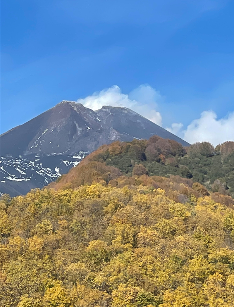 <p>İtalya'nın Sicilya Adası'ndaki Etna Yanardağı, volkanik faaliyet olmadığında adaya gelen turistlerin ziyaret ettiği yerler arasında ilk sıralarda yer alıyor.</p>