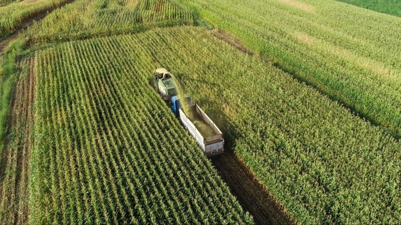 Tarım sektörünün ihracatı rekor seviyeye ulaştı