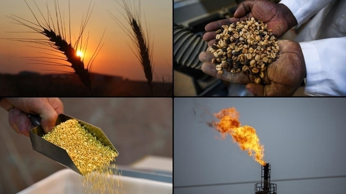 Emtia piyasası geçtiğimiz hafta karışık seyretti