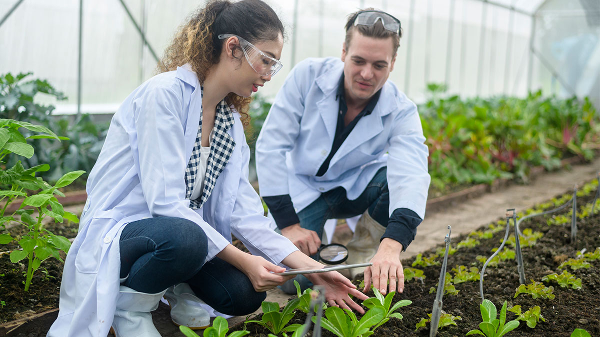 Gıda güvenliği artık bir kültür olmalı