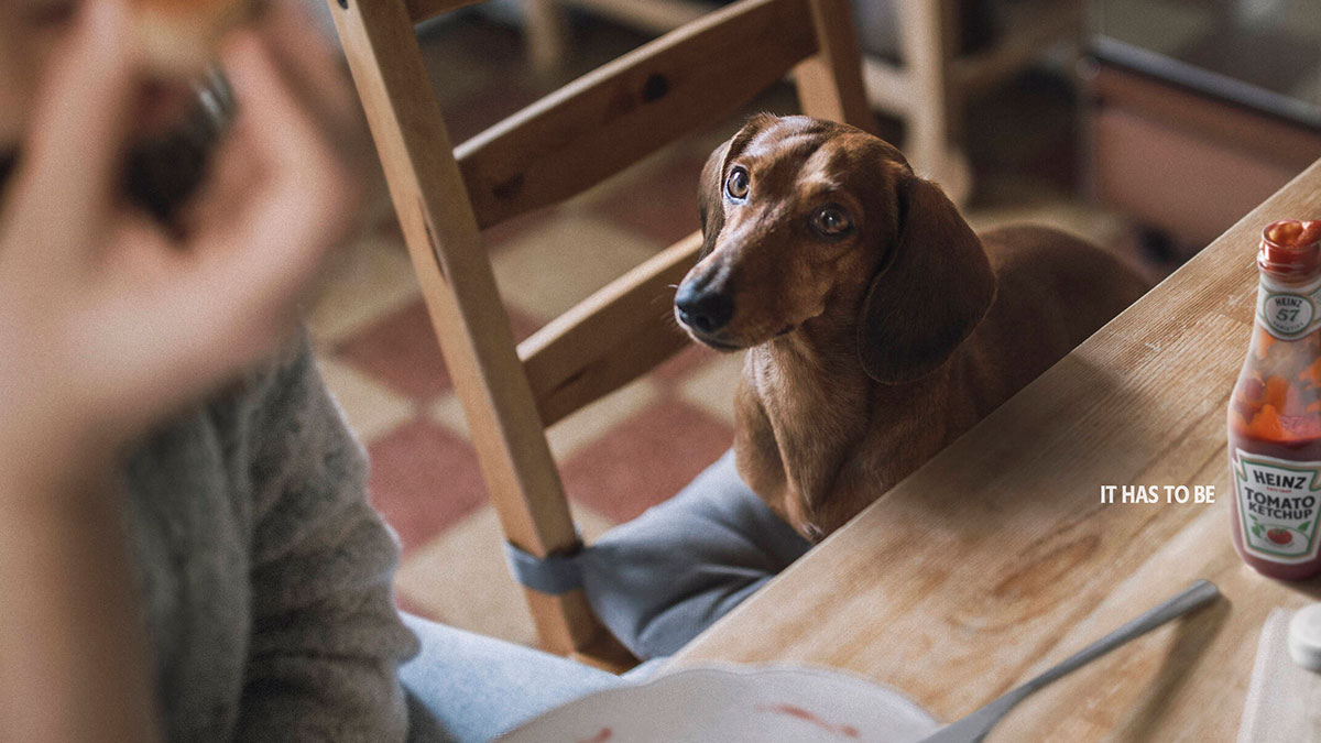 Lezzet şövalyeleri iş başında