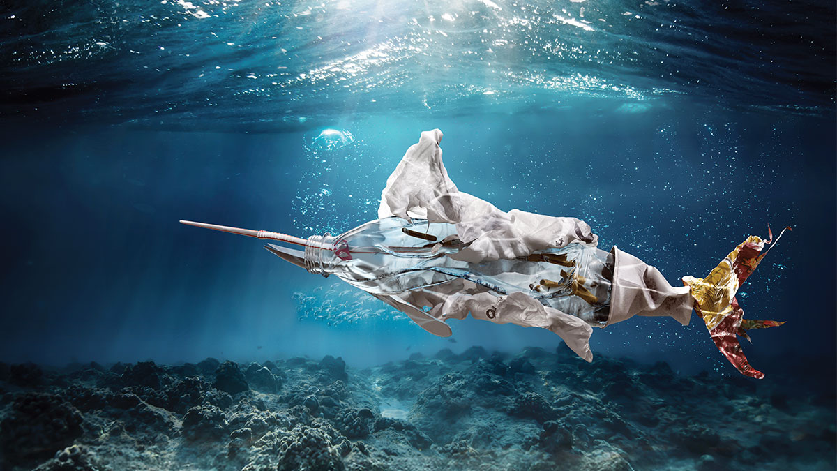 İhracatın anahtarı: Ambalaj inovasyonu