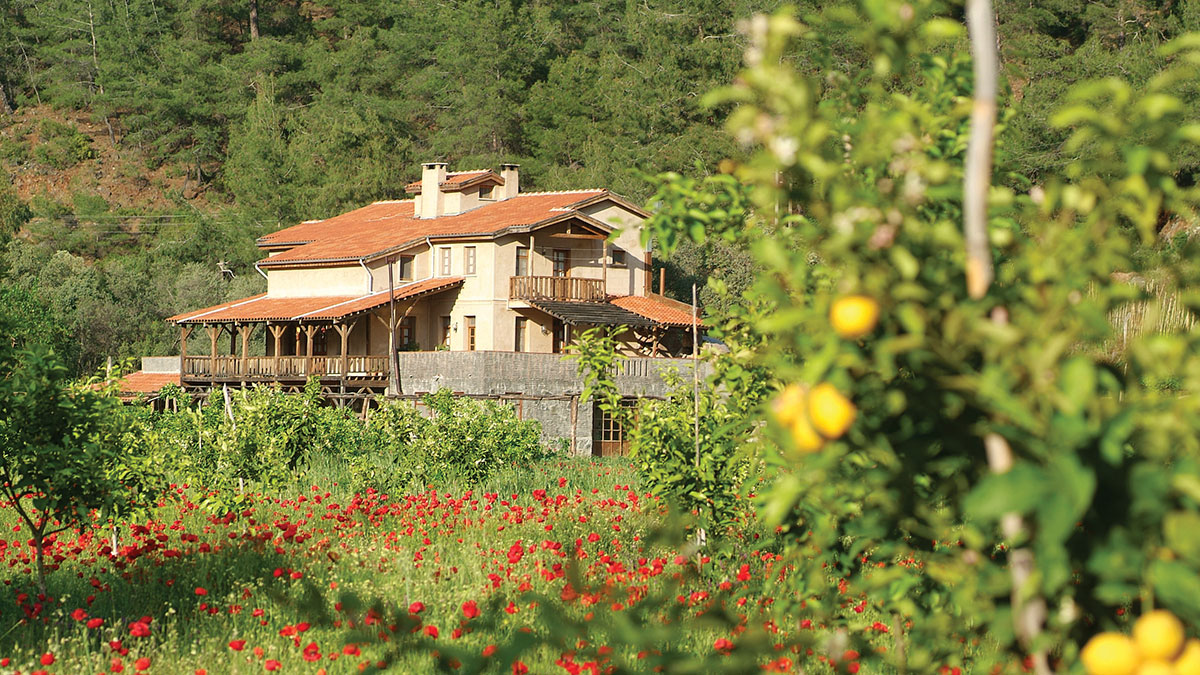 Doğada yaşam konsepti