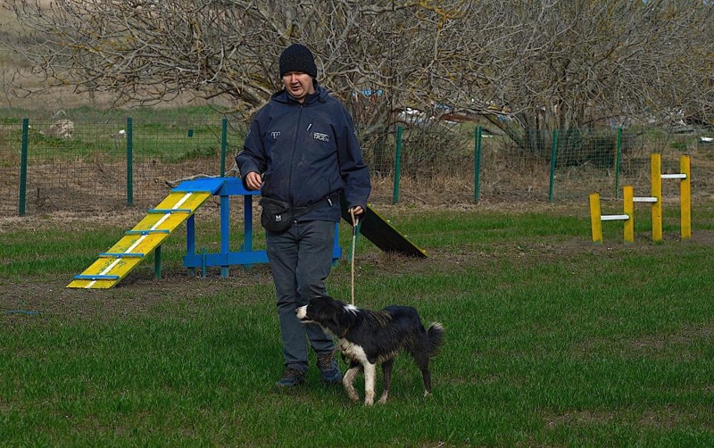 <p>Enstitü bünyesinde Çoban Köpeği Koruma Eğitim ve Yetiştirme Şubesi bulunduğunu dile getiren Kılınç, bu şubenin 2022 yılında kurulduğunu aktardı. Burada çoban köpekleri kangal ve akbaşların büyüme parametrelerinin alındığını, davranış eğitimlerinin yapıldığını belirten Kılınç, "Kangal ve akbaş ırkı TAGEM bünyesine dahil edilerek, önce koruma ve sonrasında daha iyi yavrularının üretilmesi amaçlandı. Kangal ve akbaş köpeklerimiz Tarım İşletmeleri Genel Müdürlüğü (TİGEM) ile özellikle kangallar Sivas'taki baba hatlarının yıllardır korunduğu merkezlerden getirildi" dedi.</p><p><br></p><p>Kılınç, köpeklerin her türlü kontrol ve genetik testlerden geçirilerek merkeze alındığına dikkati çekerek, burada tüm özellikleri en iyi şekilde korunarak ve geliştirilerek yavru alındığını anlattı.</p>