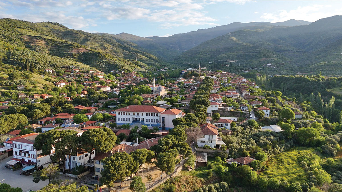 Yerelden küresele yeşil dönüşüm