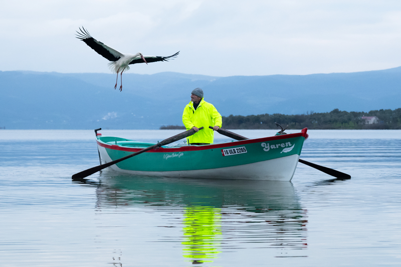 <p>Bursa'nın Karacabey ilçesinde balıkçı Adem Yılmaz ile kurduğu dostluk hikayesiyle milyonların gönlüne taht kuran Yaren Leylek, 15. yılda da göçten geldi. </p>