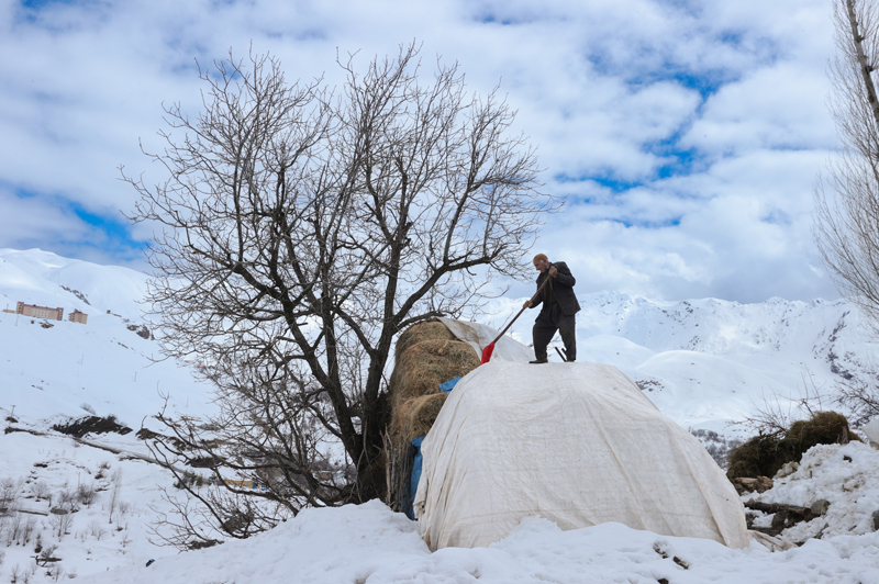 Mahallede bu yıl kar kalınlığının yer yer 4 metreyi bulduğunu anlatan Çiftçi, "Yağmurlu ve güneşli günlerde eridi ama şu an bile 1,5 metre kar var. Mahalledekilerin ot ve samanı bitmek üzere. Besiciler hayvanlarını artık havaların ısındığı Çukurca tarafına götürüyor. Besicilik bu sene oldukça zor geçti. Günün büyük bölümünde karla mücadele ediyoruz. Ahırımız mahalleye 5 dakika mesafede ama karlı günlerde bazen 2 saatte ancak gidebiliyorduk." ifadelerini kullandı.