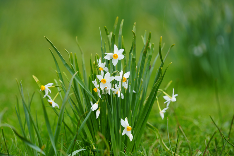 Hava sıcaklığının bugün 3 derece ölçüldüğü Durankaya beldesi ile 13 derece ölçüldüğü Derecik ilçesinde yaşanan mevsimsel farklılık AA ekibince görüntülendi.