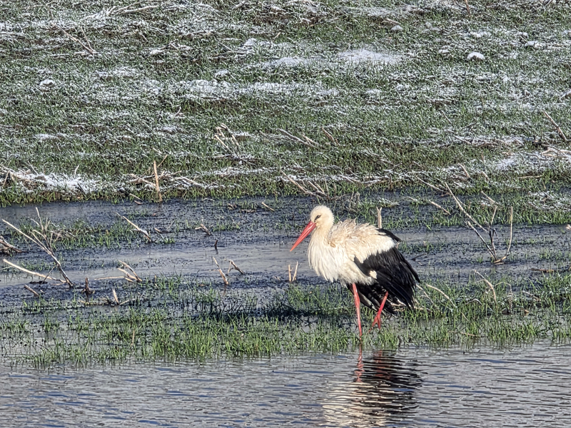 <p>Hava sıcaklığının sıfırın altında 3 dereceye kadar düştüğü ilçede, kar kalınlığı yer yer 3 santimetreye ulaştı. </p>