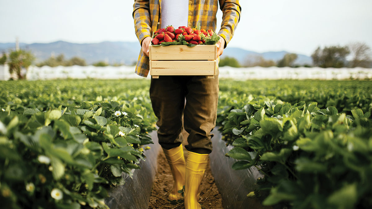 Türkiye'nin kalkınma yolundaki stratejik çıkış bileti