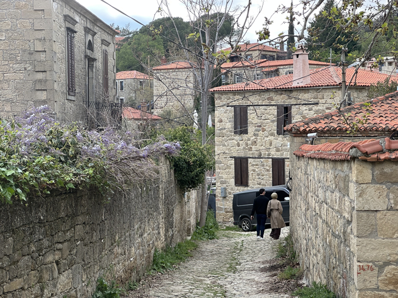 Birleşmiş Milletler (BM) Turizm Teşkilatı tarafından yürütülen "En İyi Turizm Köyü 2026 Programı" kapsamında Türkiye'yi temsilen 4 adres aday gösterildi. Onlardan biri Çanakkale Ayvacık'a bağlı Adatepe Köyü. Peki, Adatepe ile ilgili neler biliniyor?<p><br></p><p>AA dün köyün fotoğraflarını paylaştı. </p>
