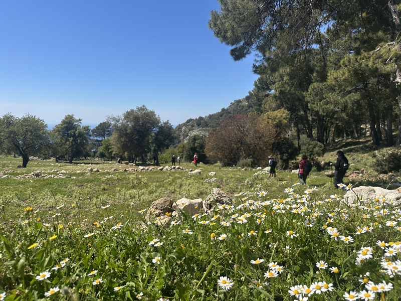 <p>"Antik coğrafi bölge Likya, Türkiye'nin Akdeniz bölgesindeki Teke Yarımadası üzerinde yer almaktadır. Likya Uygarlığı, bu bölgede M.Ö. 5. ve 4. yüzyıllara tarihlenen, Helenistik ve Roma dönemine ait pek çok kalıntı ile tanınır. M.Ö. 2. bin yıla kadar uzanan yazılı Mısır ve Hitit kaynakları "Luka" veya "Lukka" adlı bir kabileden bahsetmekte, Hitit kralı Suppiluliuma ise M.Ö. 14. yüzyılda "Likya Ülkesi"ni fethettiğinden söz etmektedir. </p>
