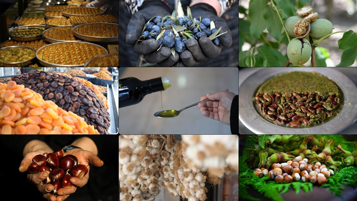 En fazla tescilli ürüne sahip şehir: Gaziantep