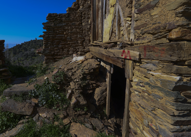 <p>Habere göre geçmişi Helenistik döneme kadar dayanan Lübbey, Ödemiş ilçesine yaklaşık 10 kilometre mesafede bulunuyor.</p>