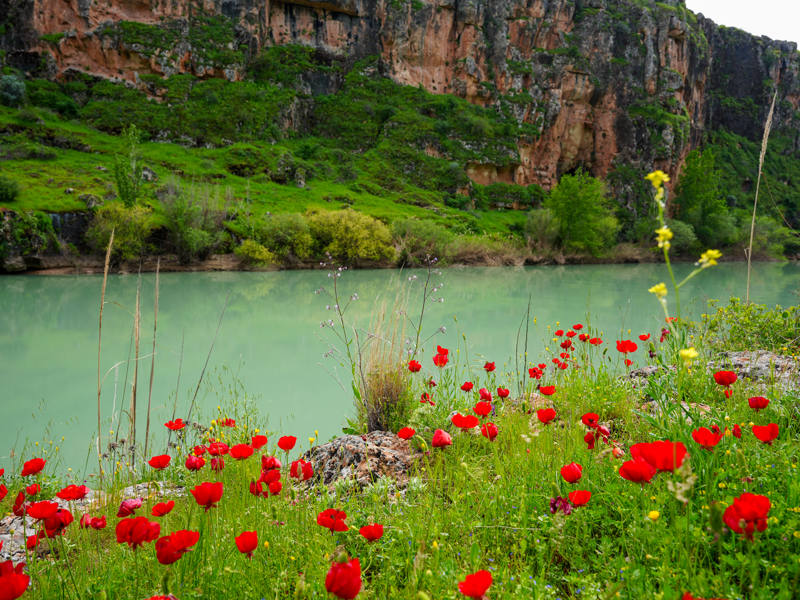 <p>Kızılin köyü sınırlarında, Göksu ile Fırat Nehri'nin birleştiği noktada bulunan kanyon, doğal güzelliğiyle öne çıkıyor.</p>
