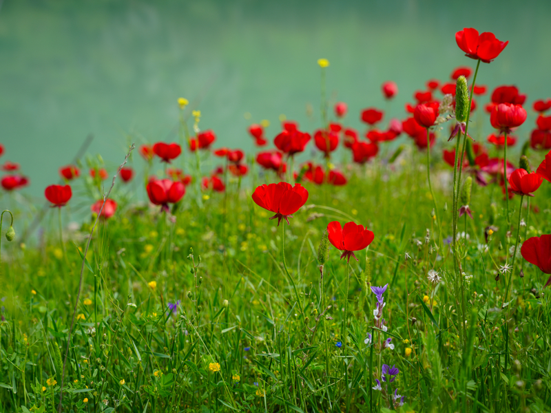 Çevre il ve ilçelerden gelen vatandaşlar, kanyona yoğun ilgi gösteriyor.