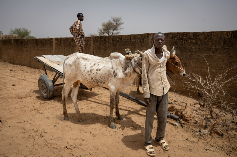 <p>Batı Afrika ülkesi Nijer'in başkenti Niamey ve çevresinde, yerel halkın günlük yaşamı Anadolu Ajansı objektiflerine takıldı. </p>