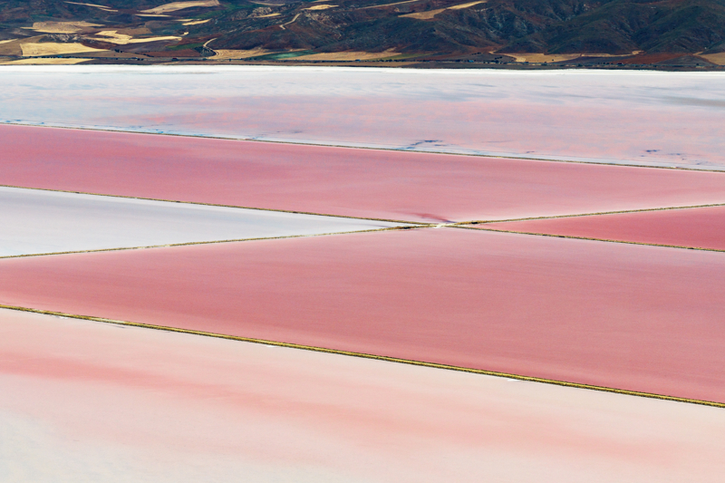  Göldeki "Dunaliella salina" adlı algler ve halo bakteriler kendilerini korumak amacıyla kırmızı pigment üretiyor. 