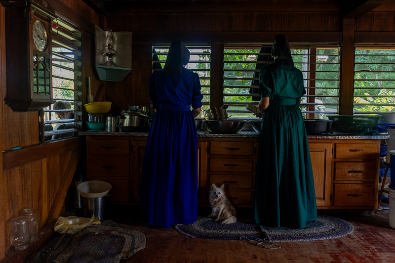 Belize nüfusunun yaklaşık yüzde 4'ünü oluşturan Mennonitler, özellikle kümes hayvancılığı, süt ve bitkisel üretim alanlarında ülkenin tarımsal üretiminde önemli rol oynayarak gıda güvenliğine katkı sağlıyor.