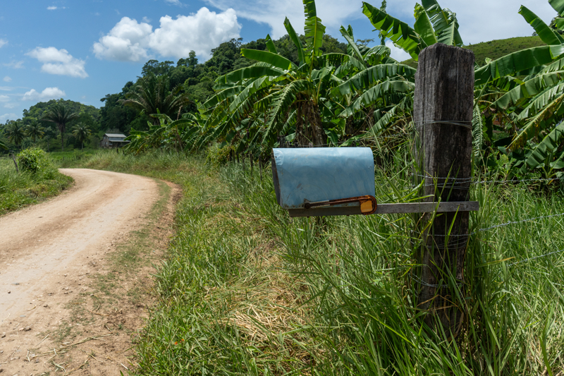 Mennonit topluluklarının orman kaybındaki payını kesin olarak belirlemek güç olsa da uydu verileri, Belize'nin 2001-2025 döneminde yaklaşık 350 bin hektar ağaç örtüsünü kaybettiğini, bunun da ülkenin 2000 yılındaki toplam ağaç örtüsünün yaklaşık yüzde 20'sine karşılık geldiğini gösteriyor.