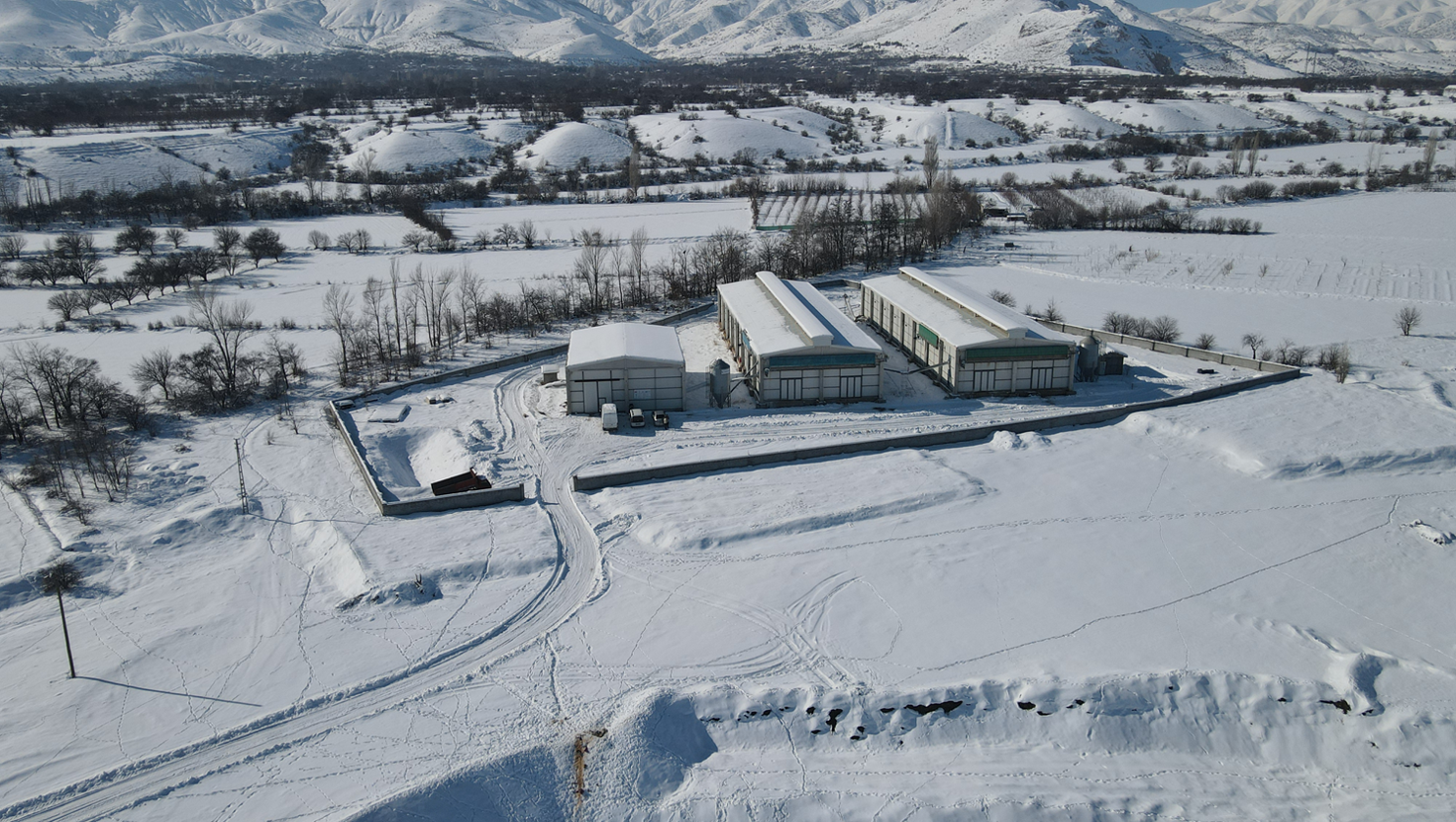 Yüzde 65 hibe desteği ile bu tesisi kurdular