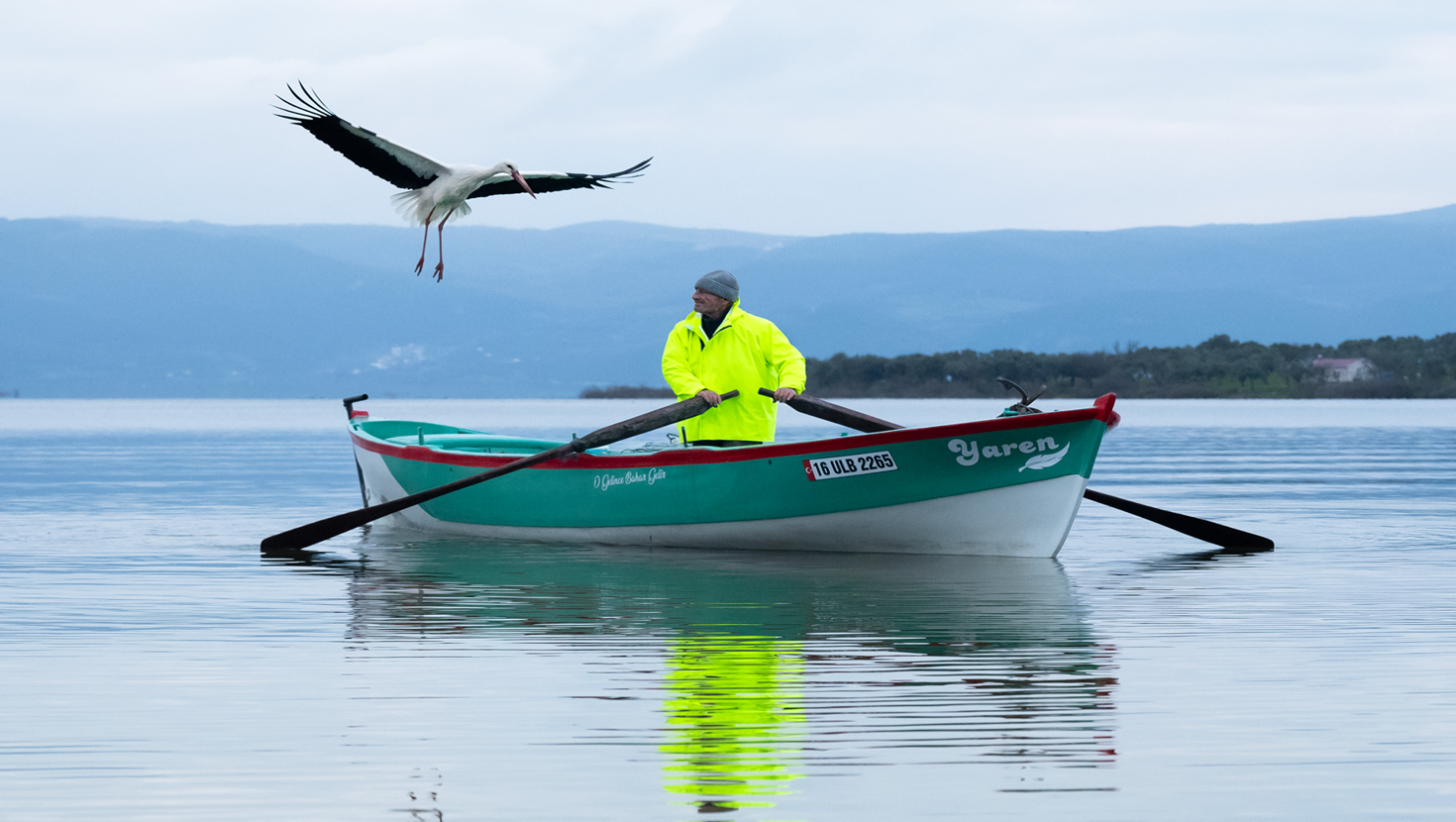 Beklenen buluşma: Leylek Yaren 15. yılda da geldi
