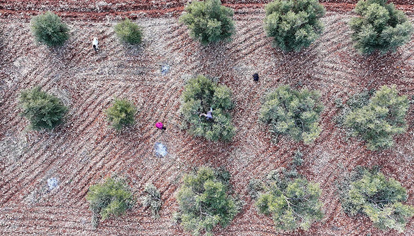 9 ilde 301 milyon liralık yatırım desteği: İşte o şehirler