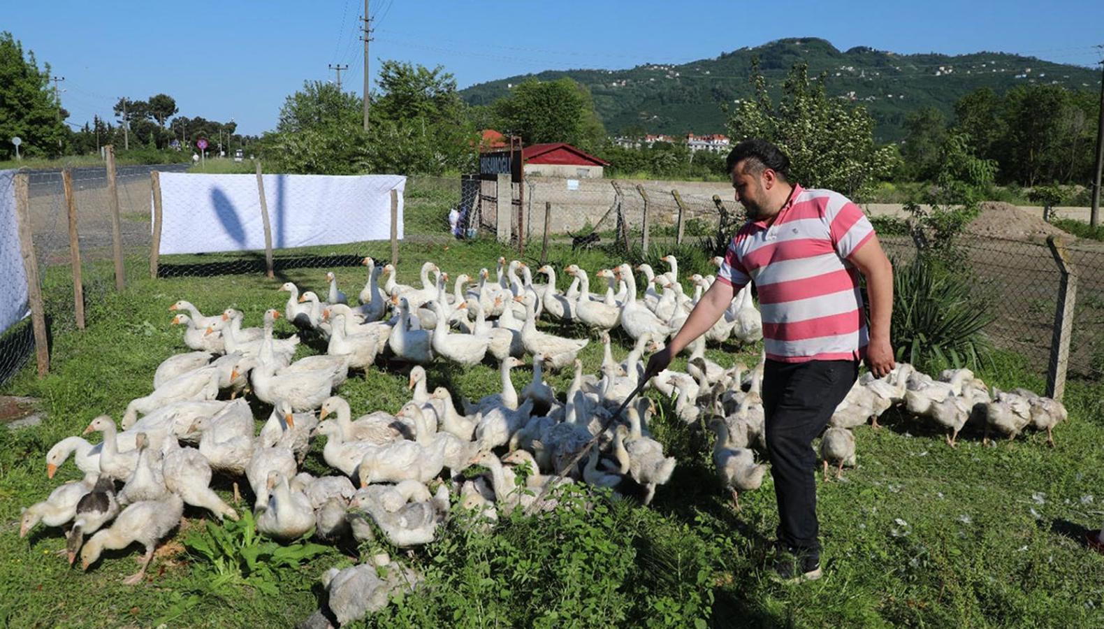 Ordulu üretici 'fındık zahmetli, bu iş bereketli' diyerek girdi, 1 yılda 11 kat büyüdü