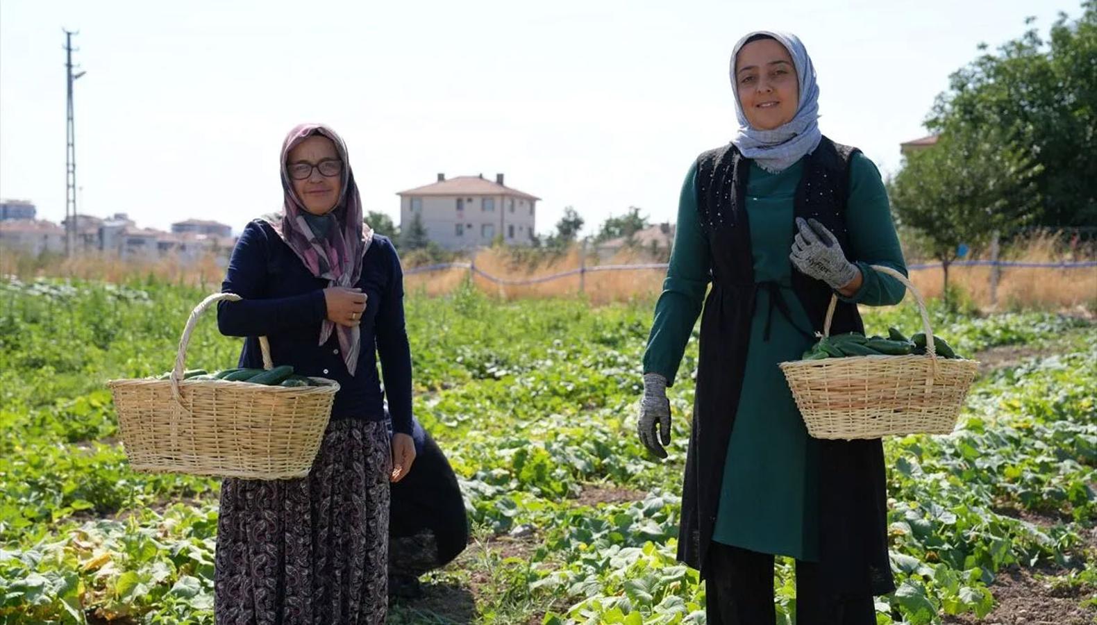 Anadolu lezzeti dünya markası oluyor: 15 ülkeye ulaşan ürünün sırrı ne?