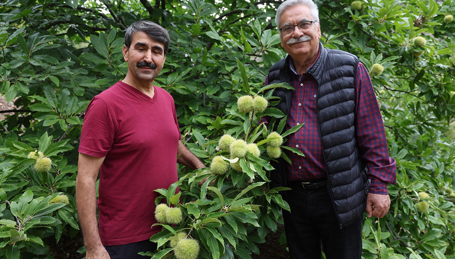1200 rakımda bu ürünü yetiştirdi, bölge halkına umut oldu