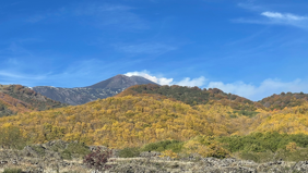 Etna, sonbaharda 'sakin yanardağ' güzellikleri sunuyor