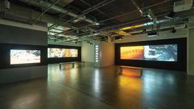 Ali Kazma'nın 'Aklın Manzaraları' sergisi İstanbul Modern'de