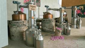 Gül tarlasından laboratuvara: Isparta'nın organik markası