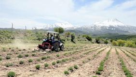 Alarko'dan tarımda kadın girişimcilere hibe desteği