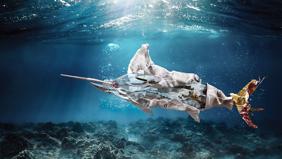 İhracatın anahtarı: Ambalaj inovasyonu