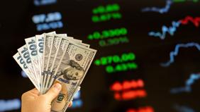 Yerli yatırımcıların 2025 karnesi