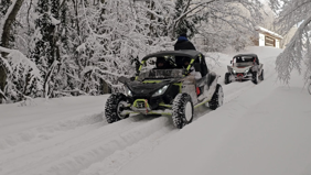 İstanbul'un yanı başında: Kış safarisi yapmak isteyenler ziyaret ediyor