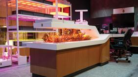 Işık teknolojisi tarımsal verimliliği üst seviyeye çıkarıyor