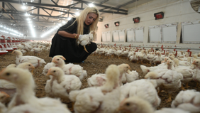 Yüzde 50 hibe desteği aldı, çiftliğini kurdu