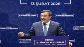 'Doğrudan, FDI yatırımları dünyada daralırken, Türkiye'de artışta'