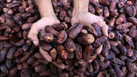 Ramazan'ın vazgeçilmezi: Hurma fiyatları ne kadar oldu?