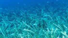 42 milyar dolarlık görünmez tehlike kapıda